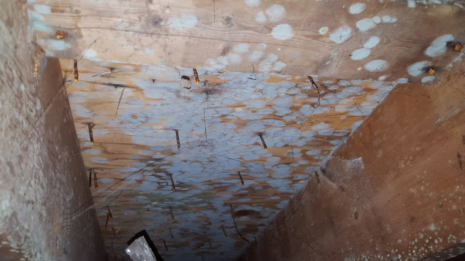 Residential property inspected for mold in Darien, CT