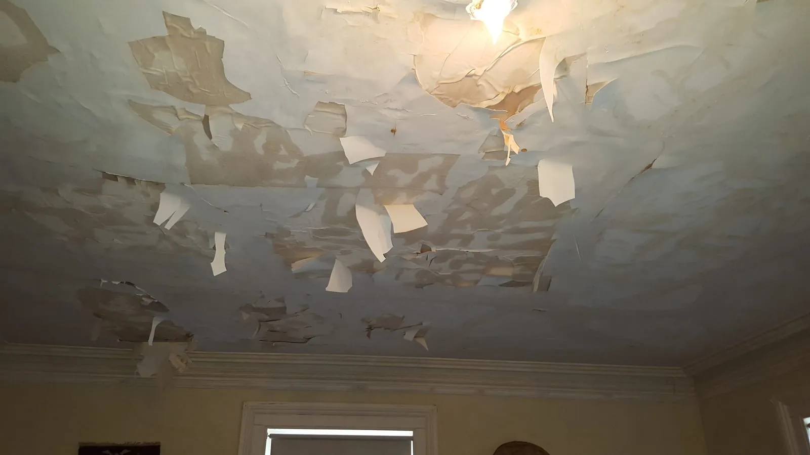 Mold Remediation in Darien, CT — Darien, CT