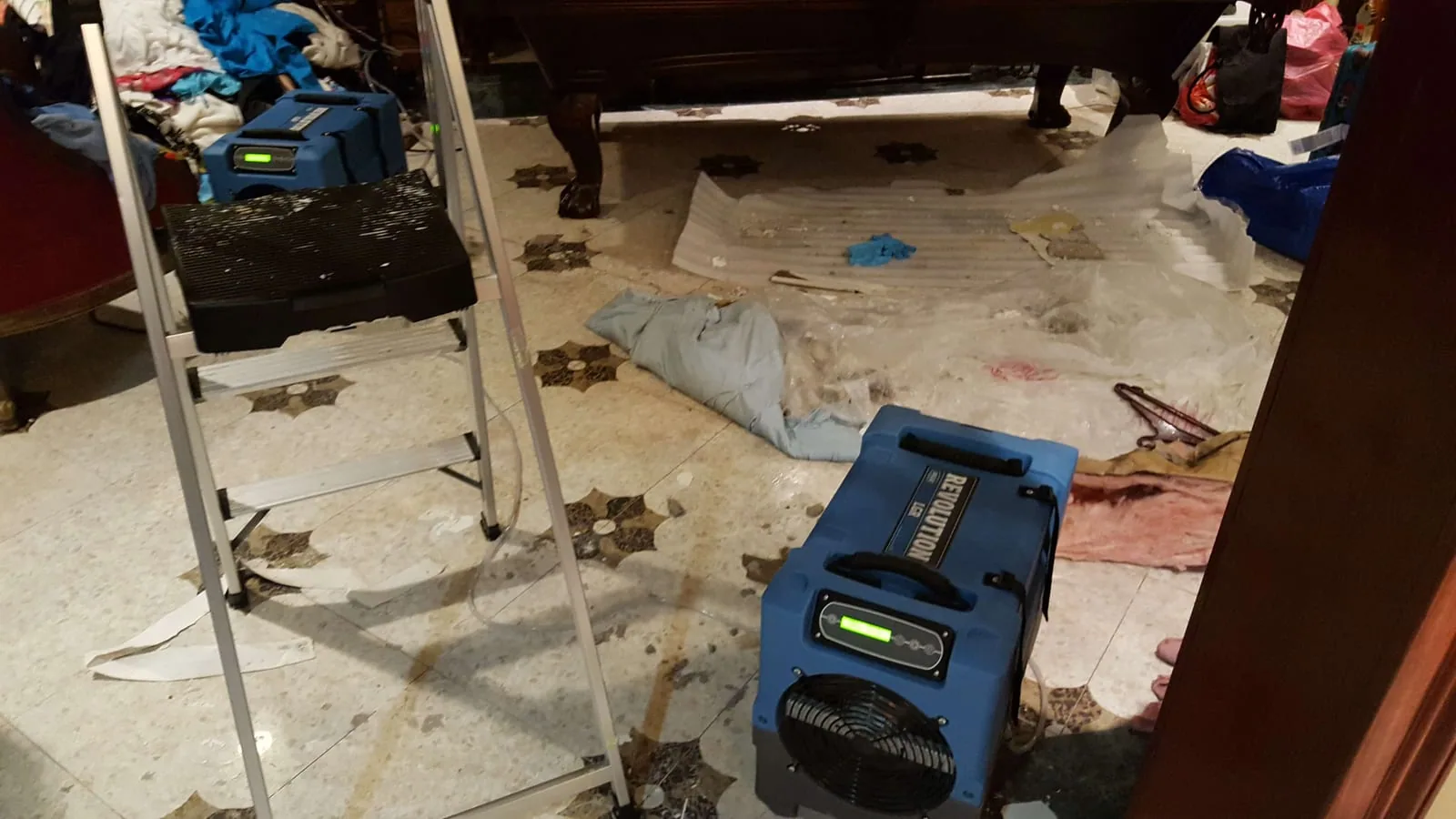 Mold Testing in New Canaan, CT — New Canaan, CT