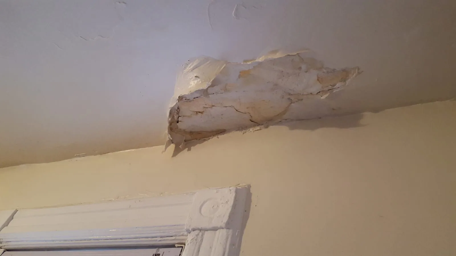 Mold Removal in New Canaan, CT — New Canaan, CT