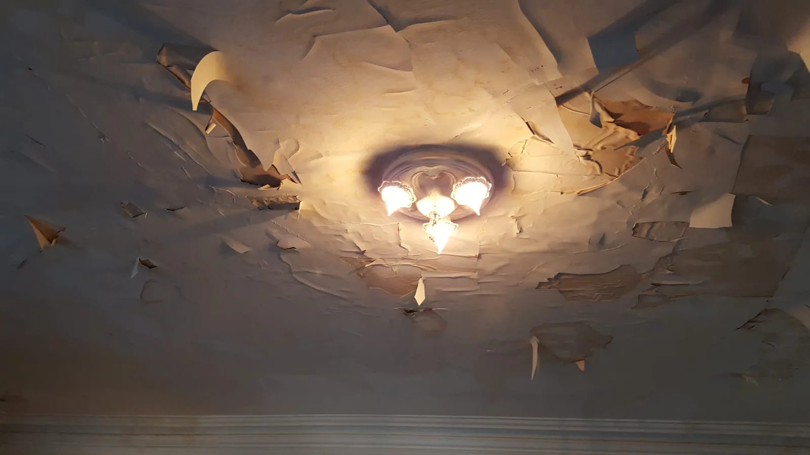 Mold Removal Services in Riverside, CT — Riverside, CT