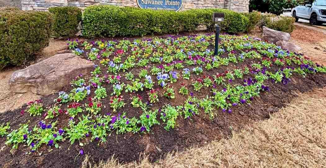 Planting in Buford, GA — LawnWorx project