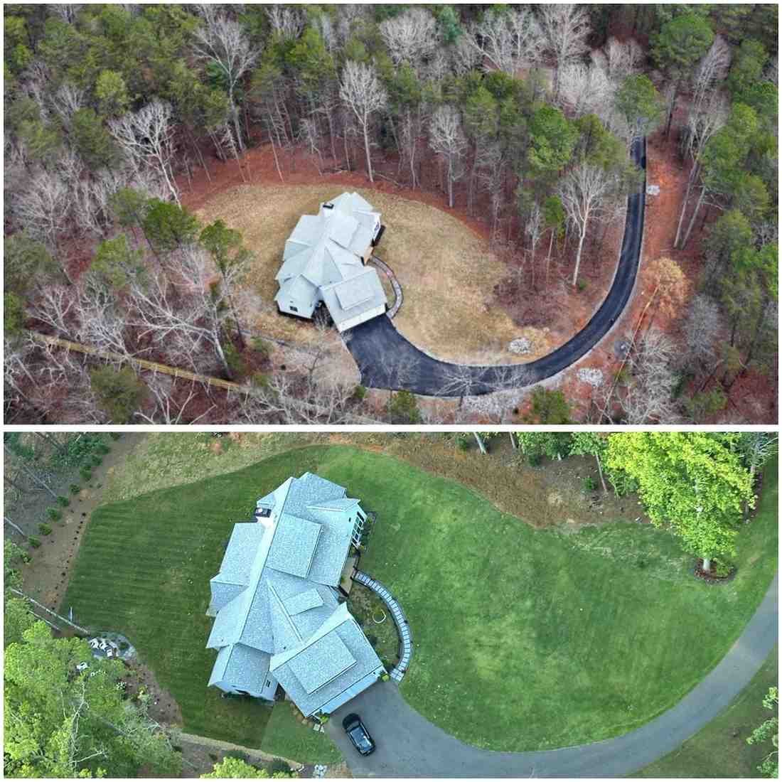 Privacy Hedges in Buford, GA — LawnWorx project