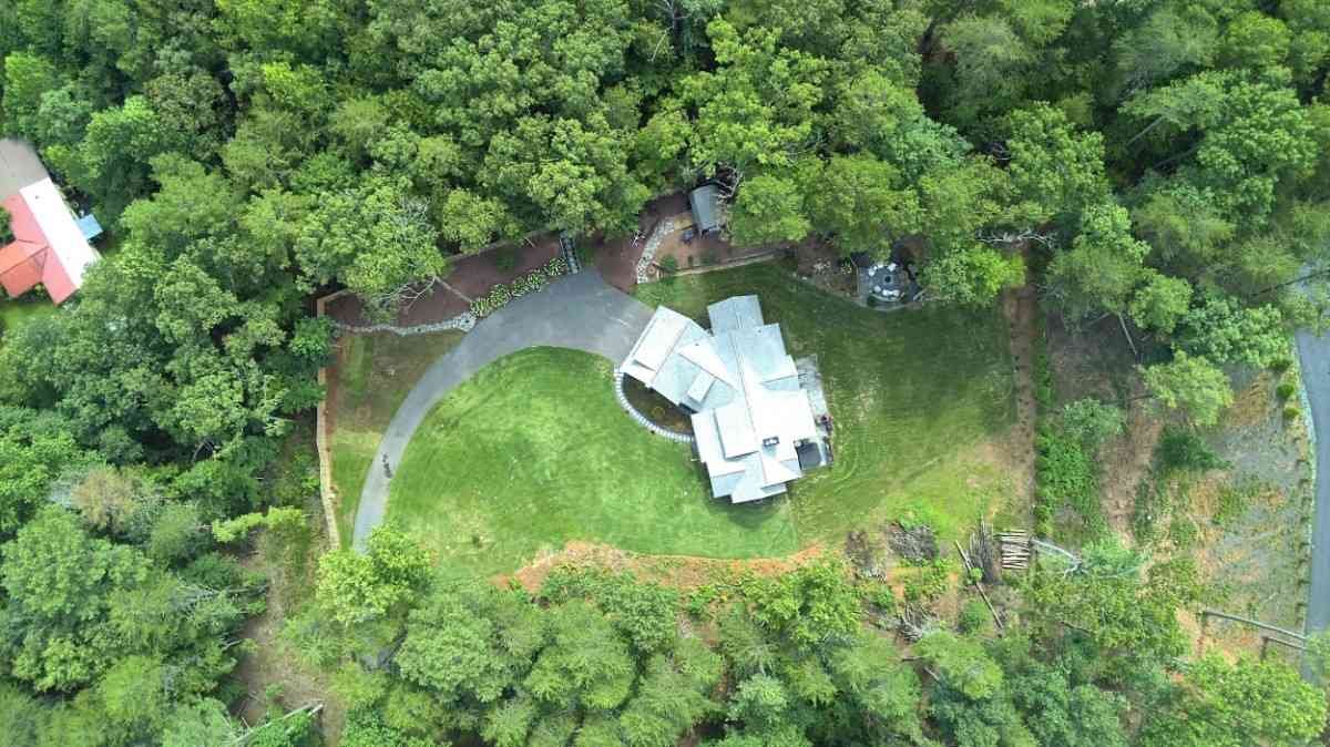 Privacy Trees in Buford, GA — LawnWorx project