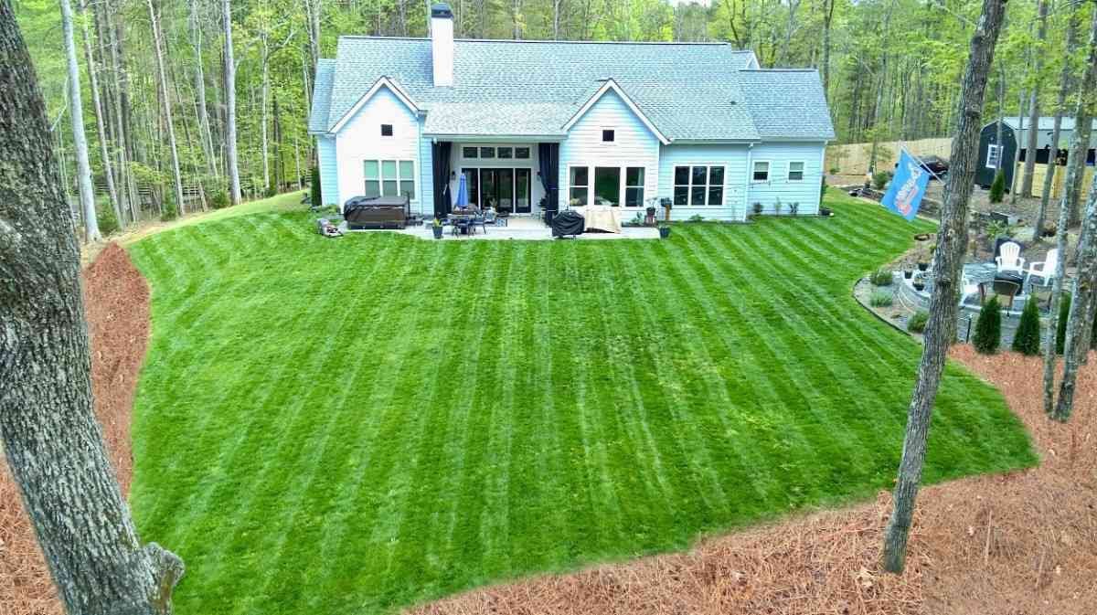 Freshly installed lawn in Gainesville, GA
