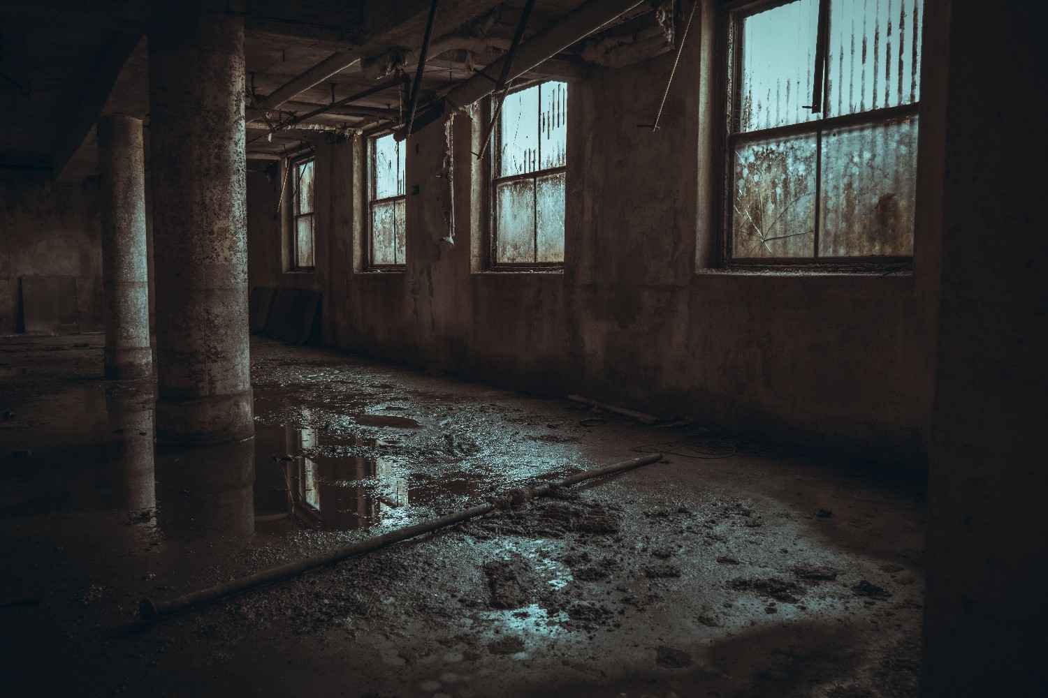 Water Damage Repair Mendota Heights